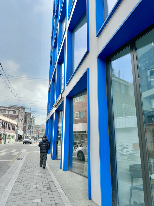햇빛 잘 들어오는 채광 예쁜 합정 카페☀️