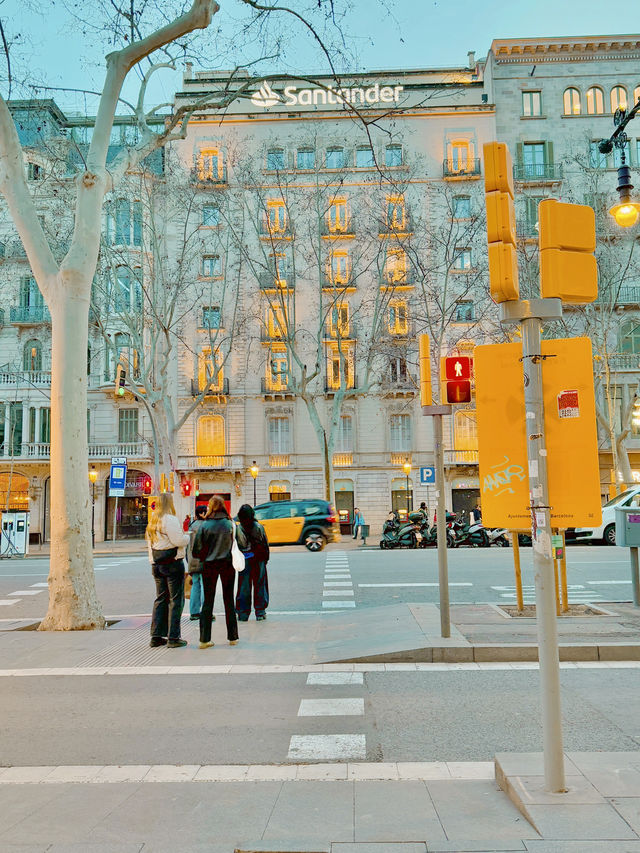 바르셀로나 하면 카탈루냐 광장🇪🇸