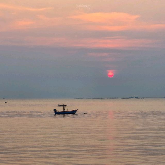 Sea Talay Pattaya ร้านอาหารเปิดใหม่สุดชิล