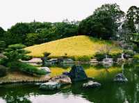 静寂と四季が彩る癒しの空間🌿⛲