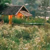 Mori Natural Farm โมริ เนเชอรัลฟาร์ม เชียงใหม่ 🏮🛖