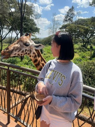 기린과 추억 쌓는 나이로비 케냐 기린 센터 🇰🇪