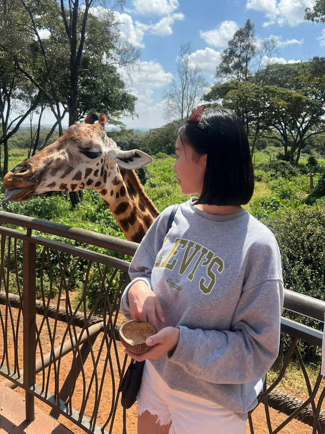 기린과 추억 쌓는 나이로비 케냐 기린 센터 🇰🇪