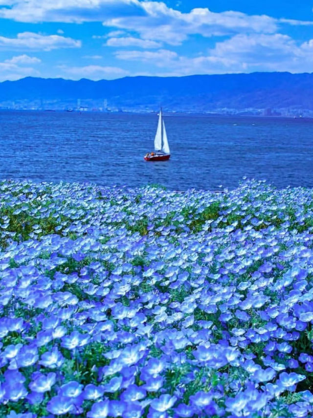 🇯🇵日本の夏限定・風鈴まつり特集🎐