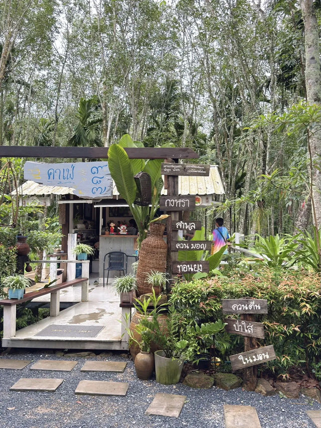 โรตี 789 ร้านโรตีในสวนยาง ที่กงหรา พัทลุง