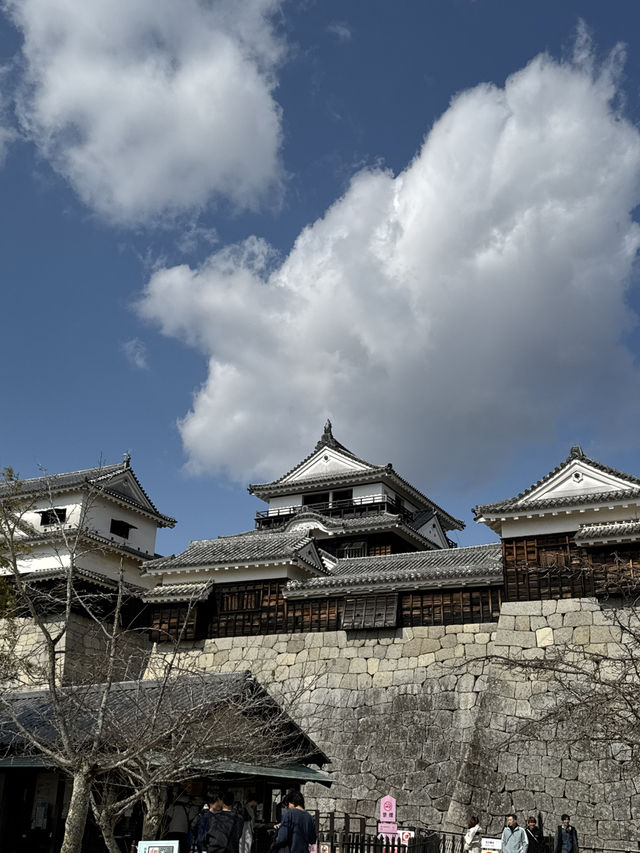 🏯 마쓰야마성, 일본의 숨은 고성 명소!