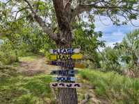 An Escape from the busy City! 