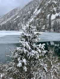 Stuck Between Seasons