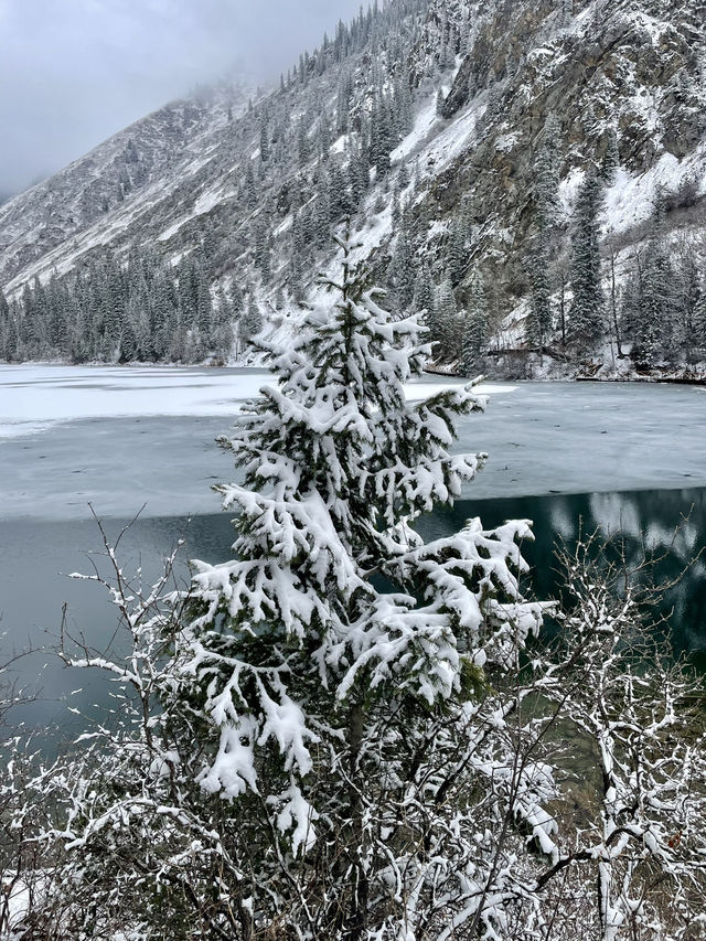 Stuck Between Seasons