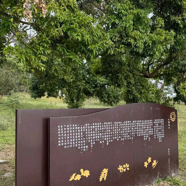 澄清湖｜「湖光山色中的櫻花樂園」