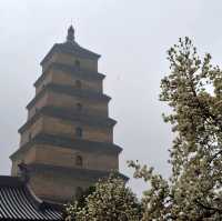 A Spiritual Journey to the Wild Goose Pagoda