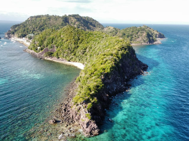 Apo Island Marine Sanctuary 
