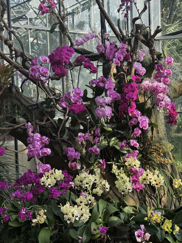 Yes!! Wuhan Has Its Own Little "Monet Garden" Too