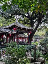 📍佛山清暉園｜廣東四大名園  