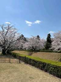 Sakura Castle Park, Chiba