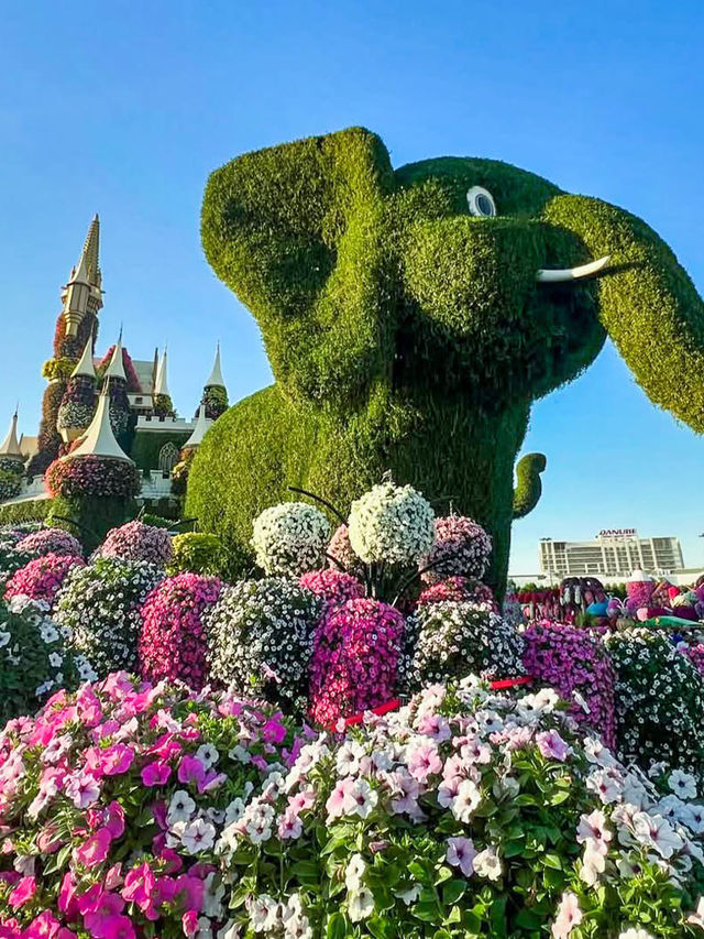 Dubai Miracle Garden