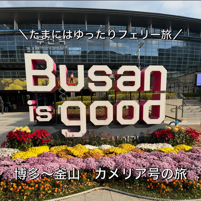 【韓国｜釜山】たまにはゆったりフェリー旅🚢博多〜釜山　カメリア号の船旅