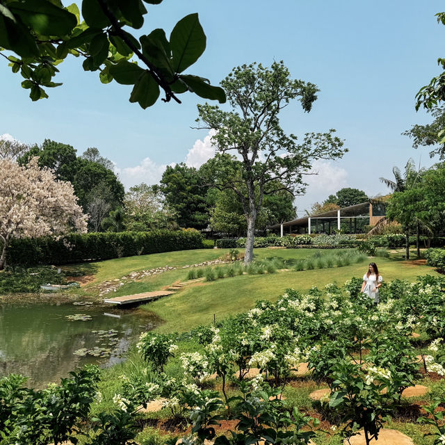 7 จุดเช็คอินที่เขาใหญ่ 🌳
