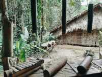 🌿✨ My Magical Day at Mari Mari Cultural Village – A Journey Through Sabah’s Living Heritage! 🏞️🔥