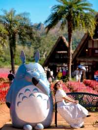 Hokkaido Flower park Khaoyai