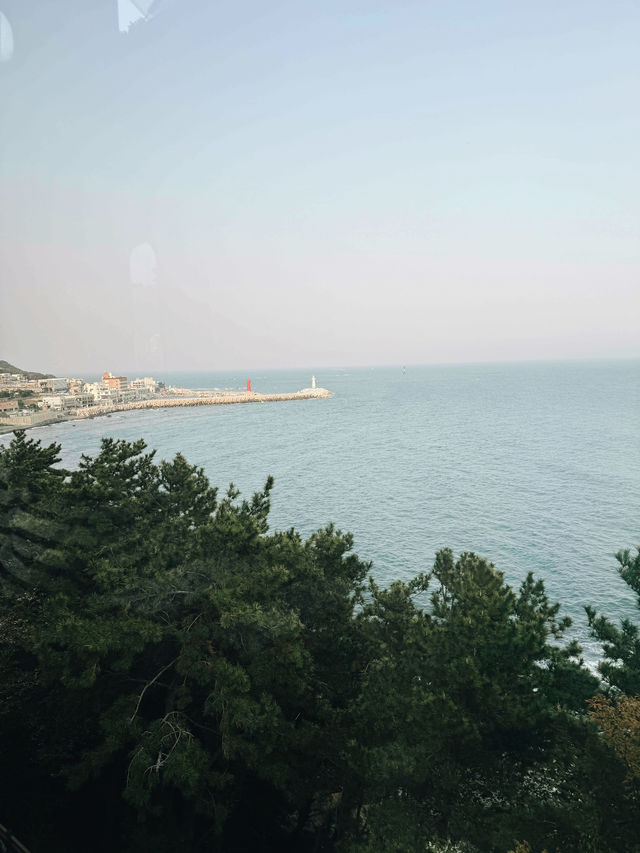 Busan a famous coastal city 