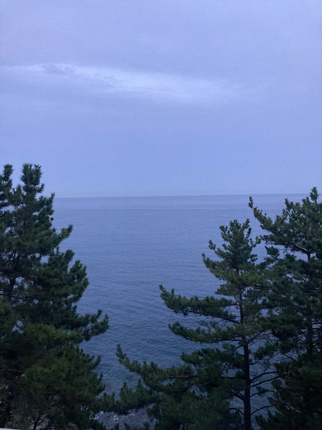 부산 간다면 꼭 타야 할 기차