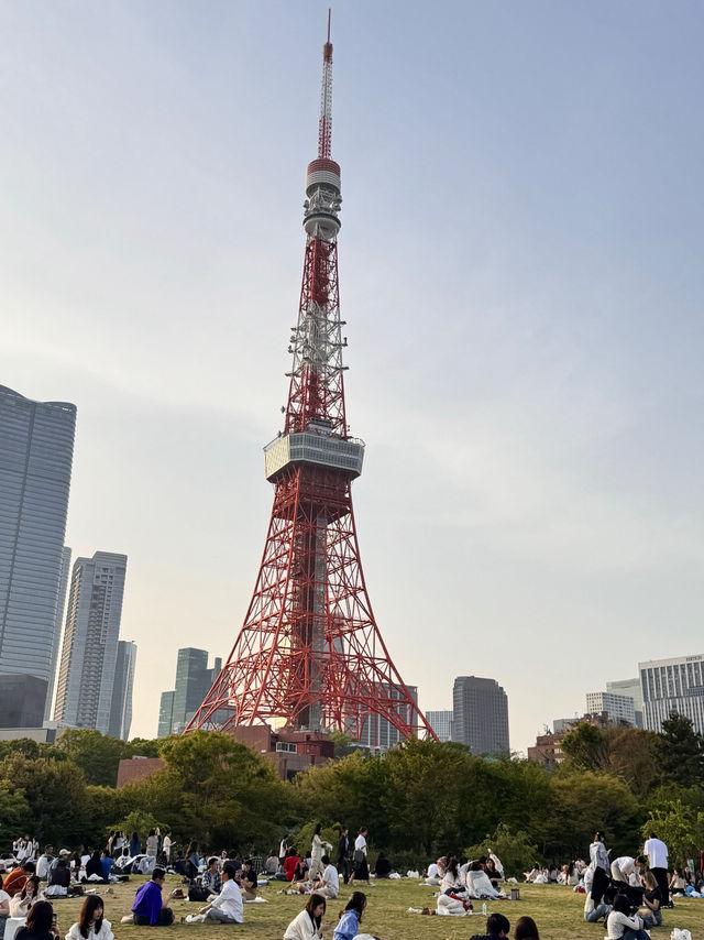 Tokyo thrills, Fuji chills 