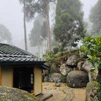 A Walk Through the Bamboo Gate
