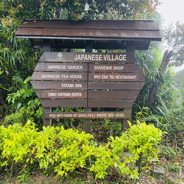 World’s First Japanese Tea House in a Tropical Forest!