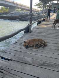 Relaxing trip in Vung Tau
