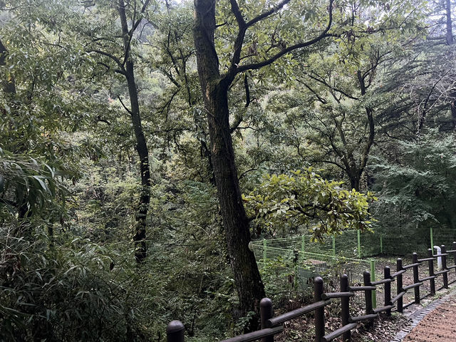 여름에 가기 좋은 대구 근교 여행지