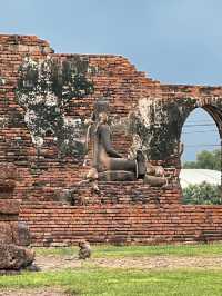 📍泰國北標府Lopburi。三峰塔廟｜ 這是猴子才是主人，我們只是過客