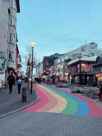 Day 6: City Strolls & Whale Tales in Reykjavík