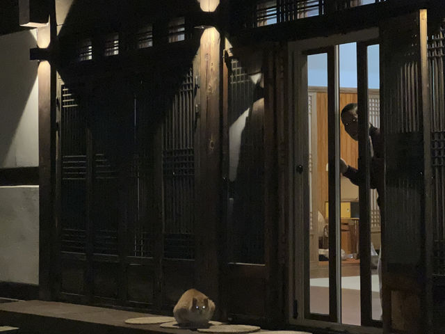 🌿 “오후 다섯시, 시간도 마음도 잠시 멈추는 곳”