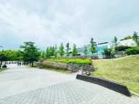 Where Nature Nurtures