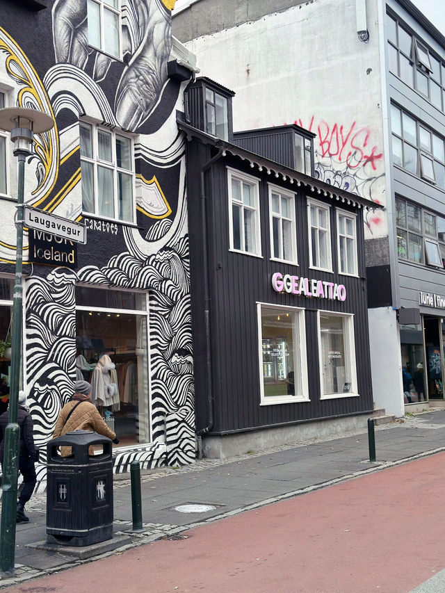 A Day in Reykjavik: Food, Pastries, and Local Flavors – Day 9 of Our Iceland Adventure