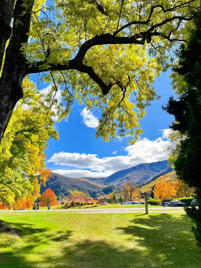🇳🇿 뉴질랜드의 Spring! Spring! Spring!