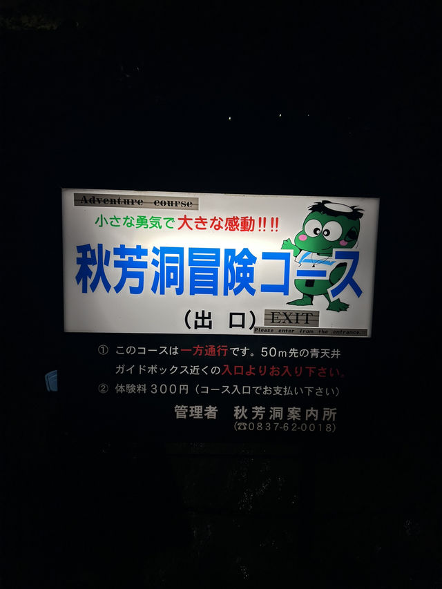 【日本最大の鍾乳洞】秋芳洞