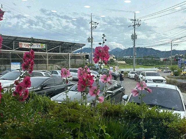 참샘 송어직판장