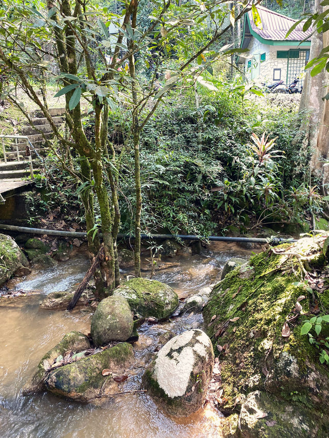 3Days 2 Nights: Nature & Food Adventure in Pahang! 