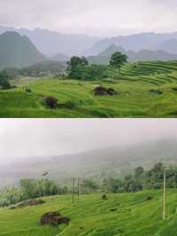 Pù luông