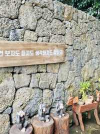 Jeju's Magical Photo Forest: Sanyang Keunkot Review