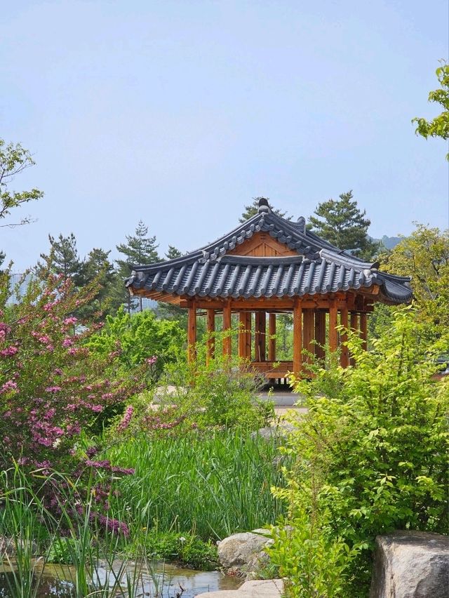 세종에 재현된 왕실 전통 정원 🖼