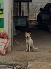 ชวนมาเดินเล่นชมวิถีชีวิตคนเมืองตราด! 