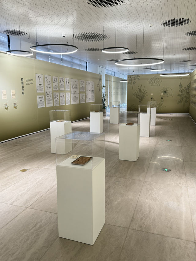 【深圳圖書館北館】 可以眼睇、手摸、仲可以用鼻聞的文學展