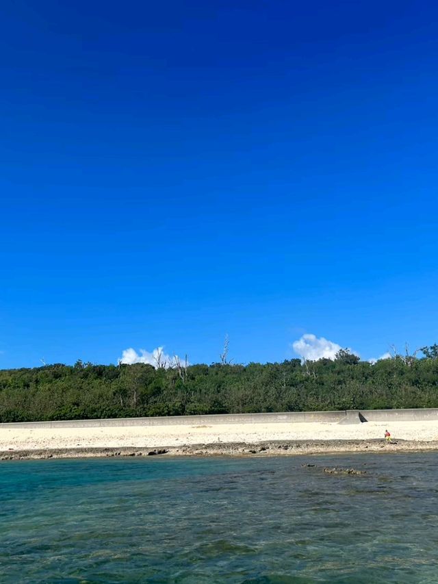 【沖縄】那覇から日帰りフェリーで行ける離島🏝️