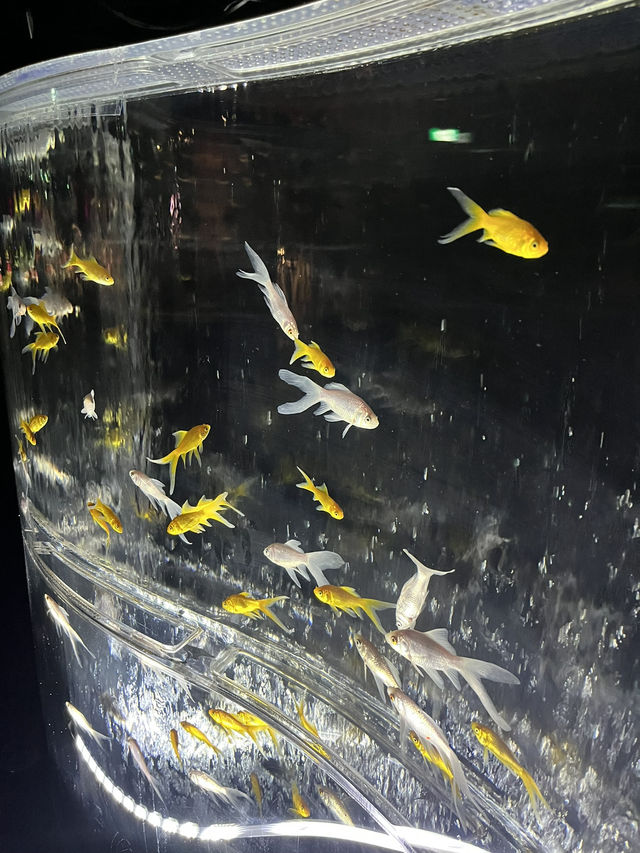 【銀座的夢幻秘境！藝術與水族的奇幻融合體驗🐠✨】