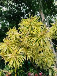 香港動植物公園｜深度遊的都市綠肺與歷史縮影