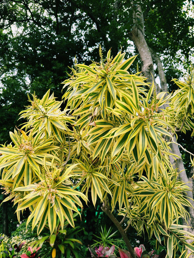 香港動植物公園｜深度遊的都市綠肺與歷史縮影