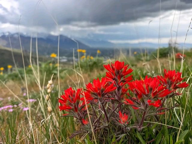 Salt Lake City, Utah – Where Urban Energy Meets Wild Adventure